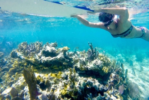 Cozumel: West Coast E-Bike and Snorkeling Tour