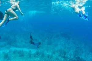 Cozumel: West Coast E-Bike and Snorkeling Tour