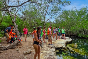 Cozumel: West Coast E-Bike and Snorkeling Tour