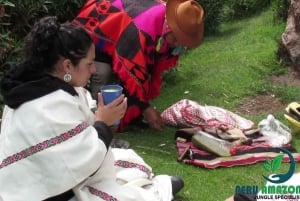 Cusco: San Pedro or Wachuma Ceremony | Private