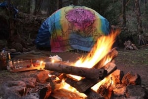 Cusco: San Pedro or Wachuma Ceremony | Private