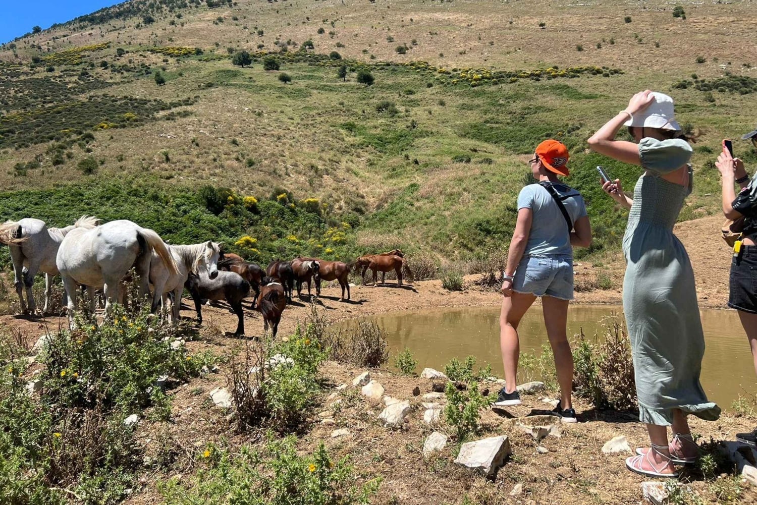 Daglig tur til: Blue Eye, kloster, Gjirokaster og Lekursi Slot