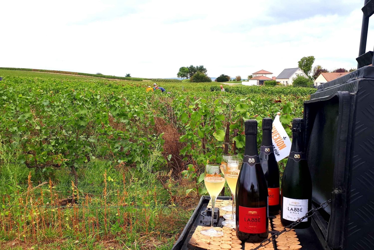 Champagneproeverij met panoramische wandeling door de wijngaarden