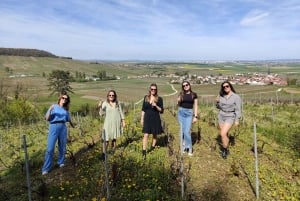 Champagneproeverij met panoramische wandeling door de wijngaarden