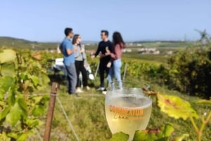 Champagneproeverij met panoramische wandeling door de wijngaarden