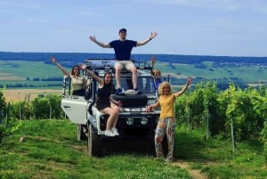 Champagneproeverij met panoramische wandeling door de wijngaarden
