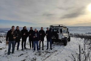 Champagneproeverij met panoramische wandeling door de wijngaarden