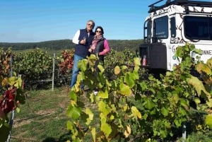 Champagneproeverij met panoramische wandeling door de wijngaarden