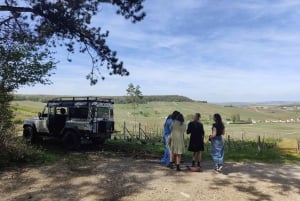 Champagneproeverij met panoramische wandeling door de wijngaarden