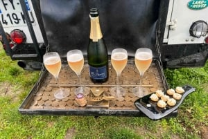 Champagneproeverij met panoramische wandeling door de wijngaarden