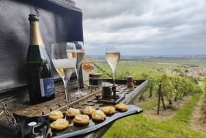 Champagneproeverij met panoramische wandeling door de wijngaarden