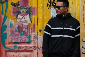 Descubre Buenos Aires: tour de la ciudad