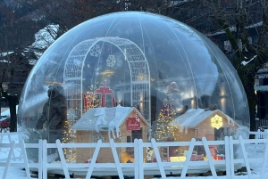 Oplev Chamonix: En kulturel og anekdotisk rundvisning til ikoniske steder