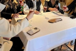 Discover Chamonix with a local & enjoy a French apéritif