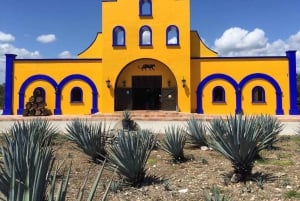 Discover the essence of playa del carmen: tequilera, jewelry and 5th avenue.