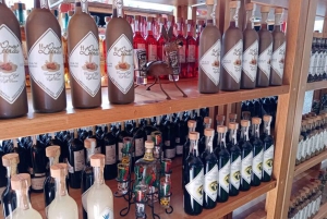 Discover the essence of playa del carmen: tequilera, jewelry and 5th avenue.