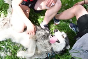 メジェーブでの犬と歩くハイキング