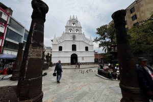 Downtown shopping and art galleries/museum