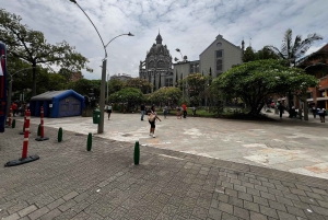 Downtown shopping and art galleries/museum