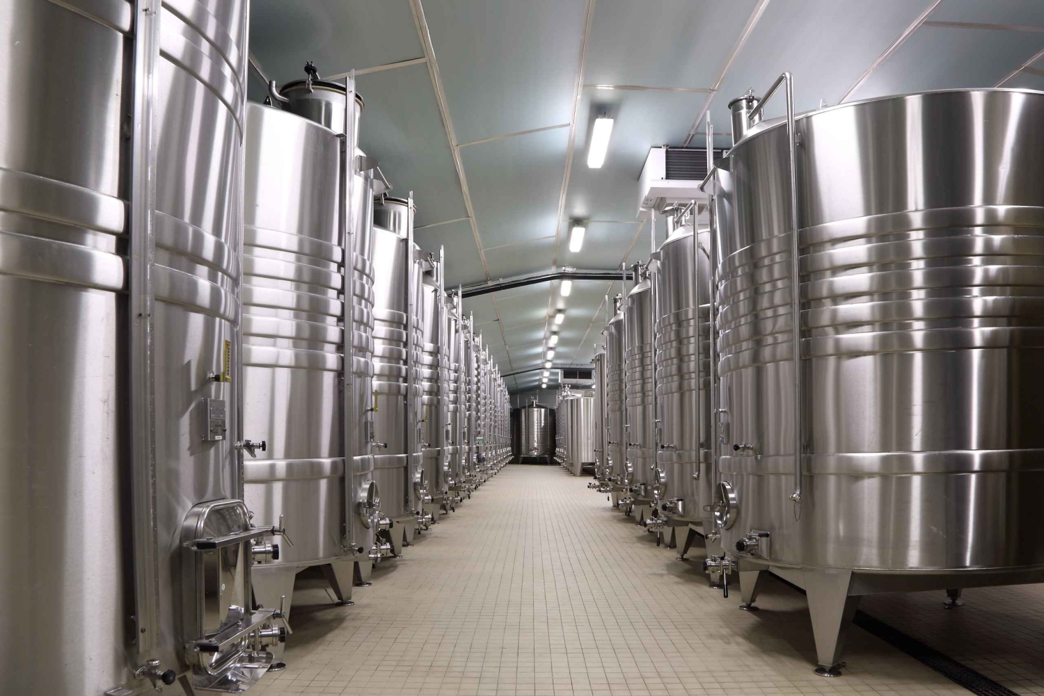 Эперне: экскурсия по погребу шампанского с дегустацией