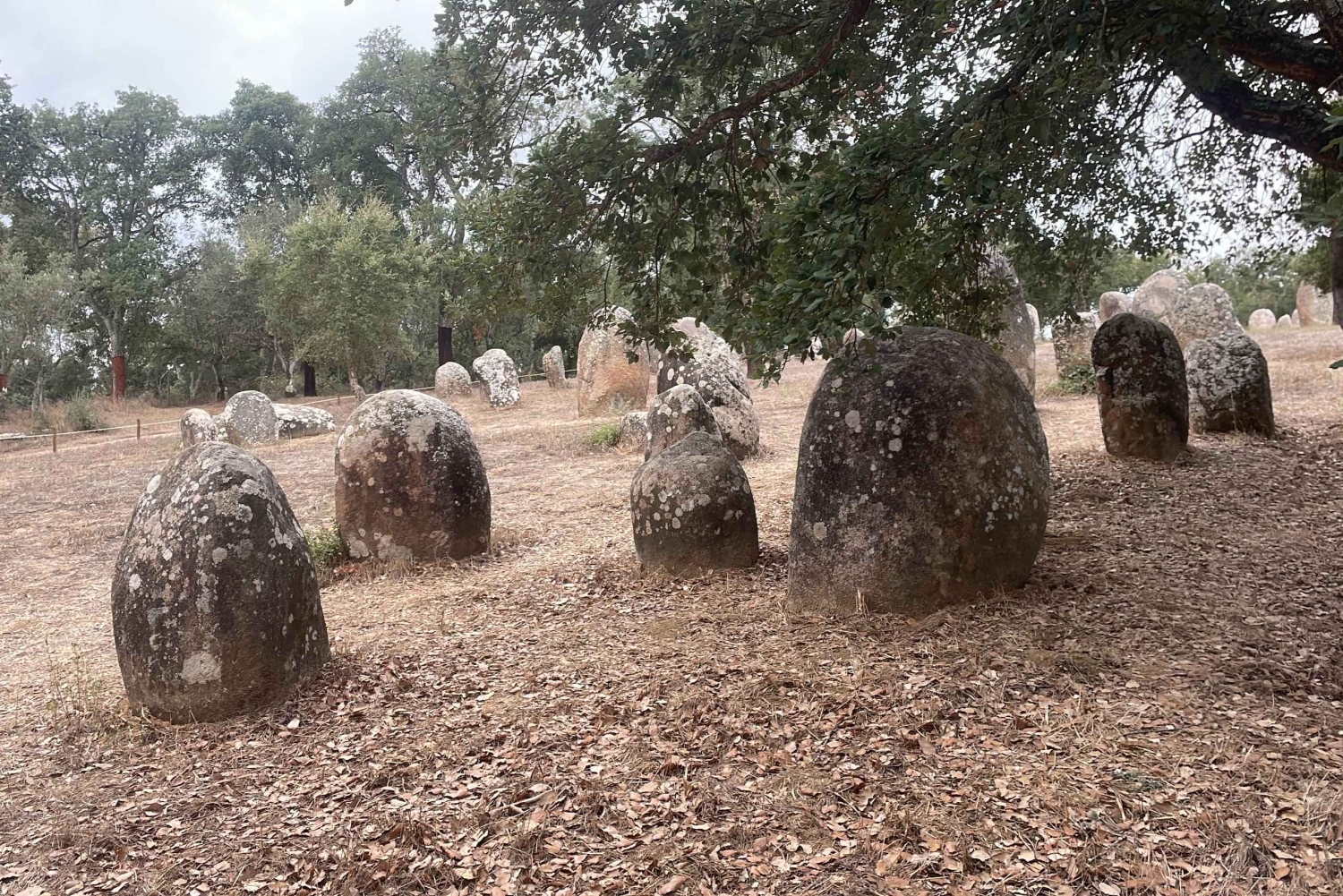 Evora : Cromlech des Almendres et Grand Dolmen de Zambujeiro