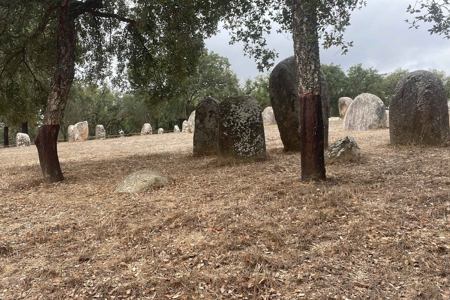 Evora : Cromlech des Almendres et Grand Dolmen de Zambujeiro