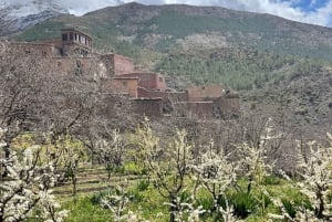 Escursione alla montagna dell'Atlante da Marrakech