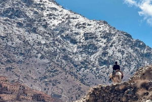 Escursione alla montagna dell'Atlante da Marrakech