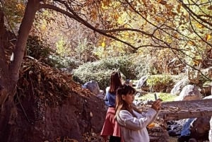 Escursione alla montagna dell'Atlante da Marrakech