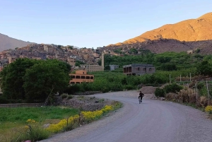 Escursione alla montagna dell'Atlante da Marrakech