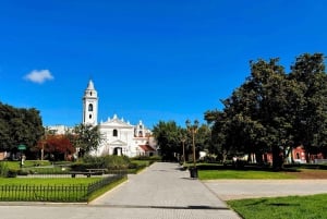 Explore Buenos Aires Highlights on a Walking Tour