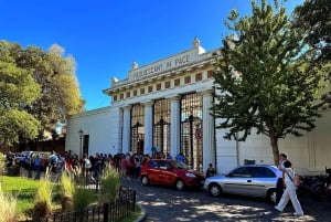 Explore Buenos Aires Highlights on a Walking Tour