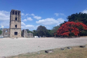 Exploring the history of cities and Flavors