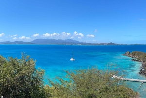 Fajardo: Dagskryssning med katamaran till Palomino Island med lunch