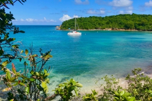 Fajardo: Dagskryssning med katamaran till Palomino Island med lunch