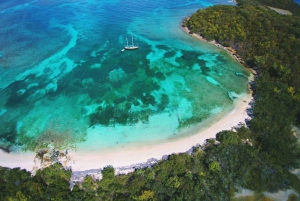 Fajardo: Dagskryssning med katamaran till Palomino Island med lunch