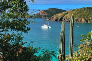 Fajardo: Dagskryssning med katamaran till Palomino Island med lunch