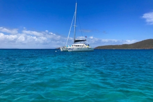 Fajardo: Dagskryssning med katamaran till Palomino Island med lunch