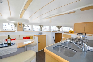 Fajardo: Dagskryssning med katamaran till Palomino Island med lunch