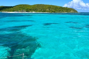 Fajardo: Dagskryssning med katamaran till Palomino Island med lunch