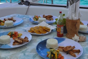 Fajardo: Dagskryssning med katamaran till Palomino Island med lunch