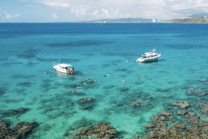 Fajardo: Cayo Icacos Snorkeling Cruise with Slide and Lunch