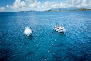 Fajardo: Cayo Icacos Snorkeling Cruise with Slide and Lunch