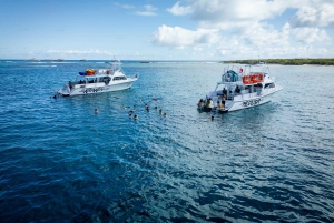 Fajardo: Cayo Icacos Snorkeling Cruise with Slide and Lunch