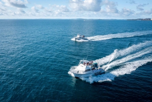 Fajardo: Cayo Icacos Snorkeling Cruise with Slide and Lunch