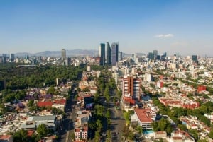 Privat rundvandring för familjer i Mexico City