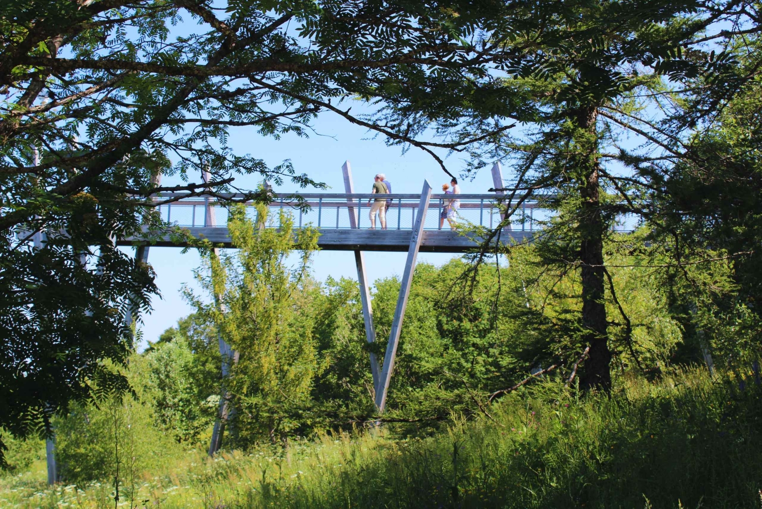 Depuis Annecy: Gorges du Sierroz, Lac du Bourget et Mont Revard