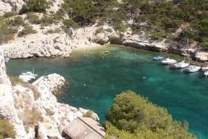 From Bandol: Visit the 13 calanques of Cassis & Marseille (3 hours 15 minutes at sea)