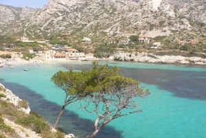 From Bandol: Visit the 13 calanques of Cassis & Marseille (3 hours 15 minutes at sea)