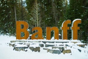 De Banff/Canmore: Tour guiado de um dia pelo Parque Nacional de Banff